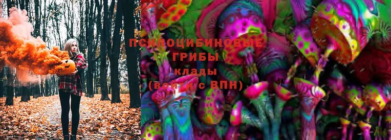 Галлюциногенные грибы Magic Shrooms  Пугачёв 